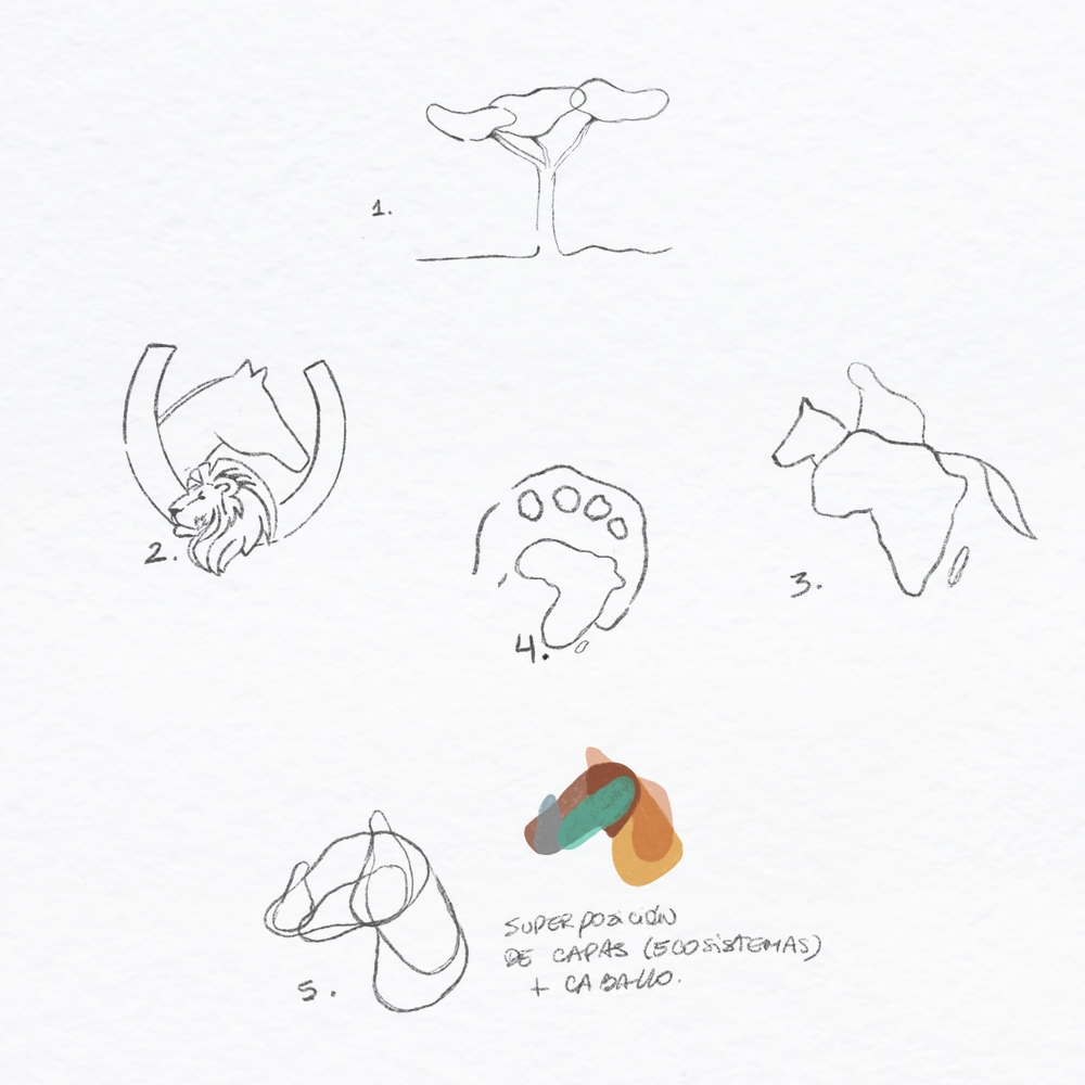 Africa Horse Tours - Africa Horse Tours - Best all-inclusive horseback safaris in Africa | SPICE