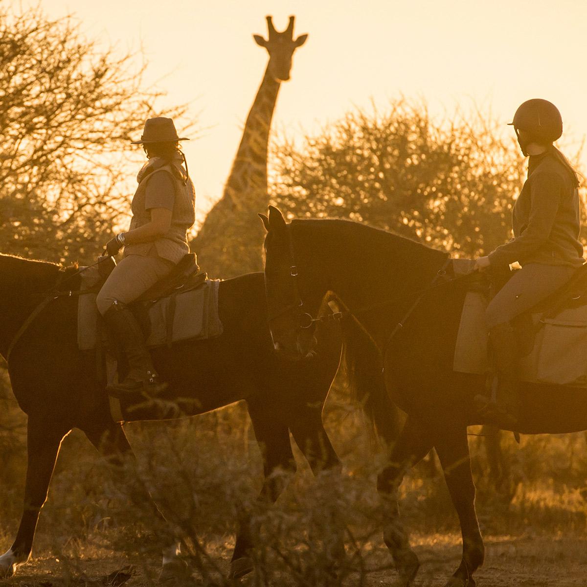 Africa Horse Tours - Africa Horse Tours - Best all-inclusive horseback safaris in Africa | SPICE