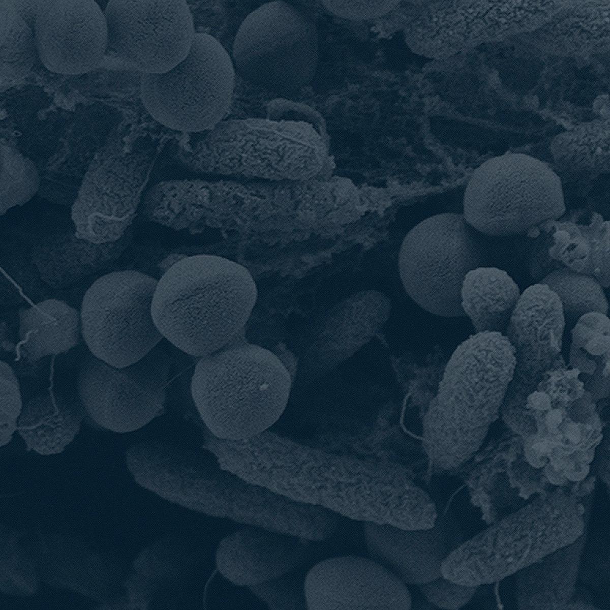 Untech - Untech - A multi-prized drug development startup | SPICE